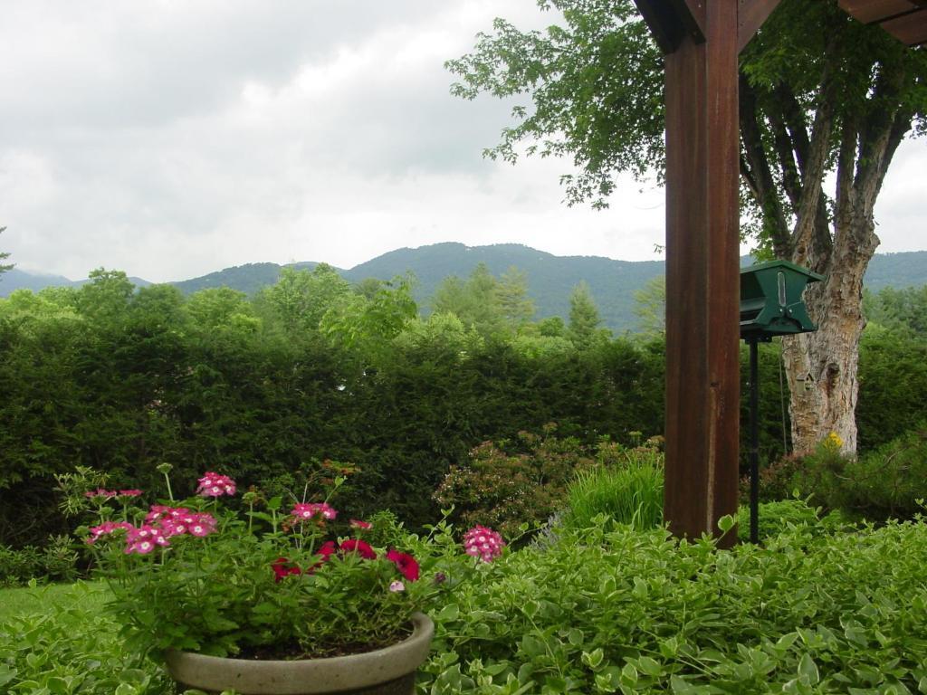 韦恩斯维尔溪涧山雾旅馆住宿加早餐旅馆 外观 照片